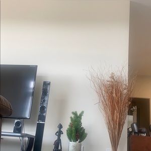 Meet your Posher, Juvic